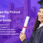 Mindscape Big Picture Scholarship - Scholarship Complete Guide (1)