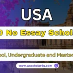 No Essay Scholarships