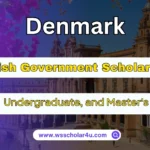 Danish Government Scholarship