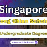 Lee Kong Chian Scholarship