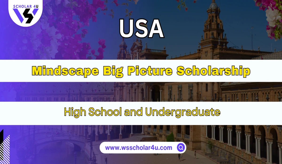 Mindscape Big Picture Scholarship