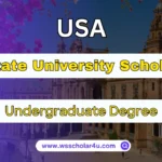 Penn State University Undergraduate Scholarships