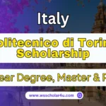 Politecnico di Torino Scholarship