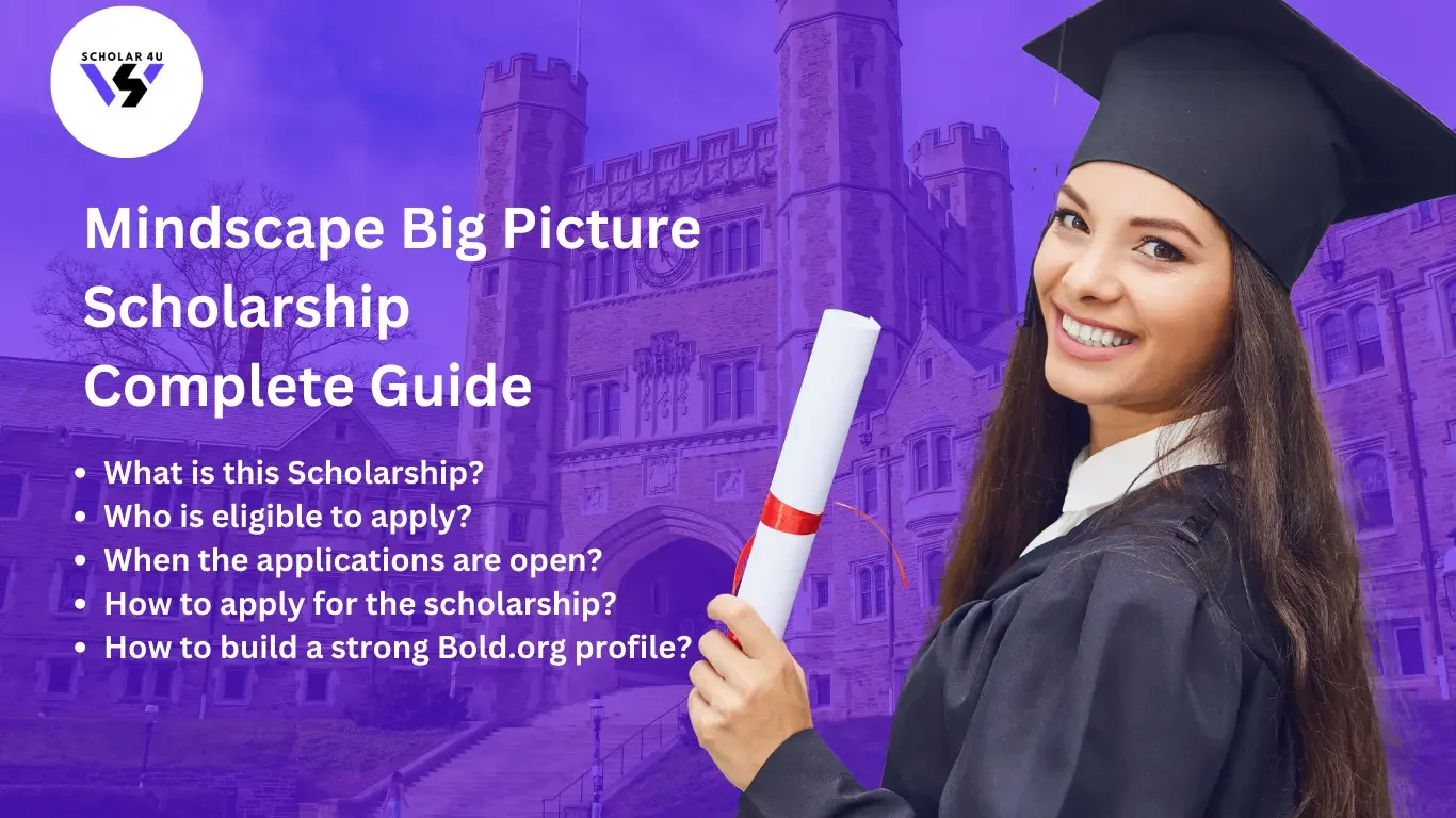 Mindscape Big Picture Scholarship - Scholarship Complete Guide (1)