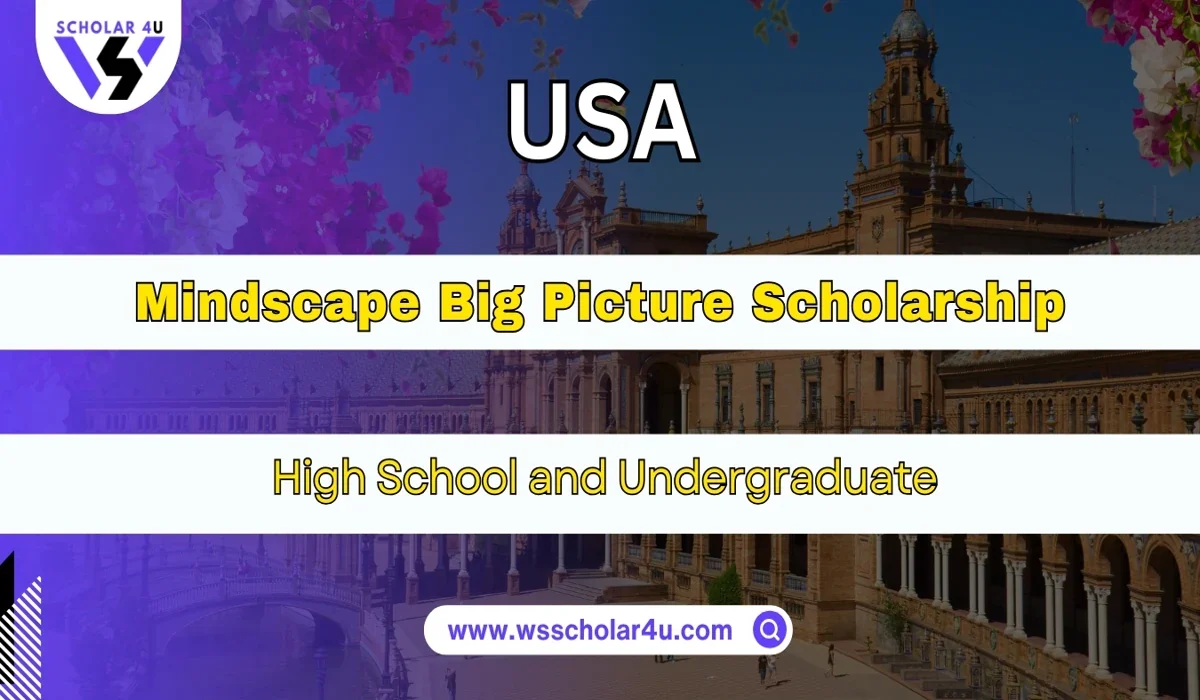 Mindscape Big Picture Scholarship