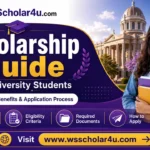 Professional scholarship details by WsScholar4u showing eligibility, benefits, required documents, and application process for students.